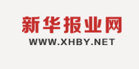 新华报业-安徽鑫霄-大型活动安全评估权威机构